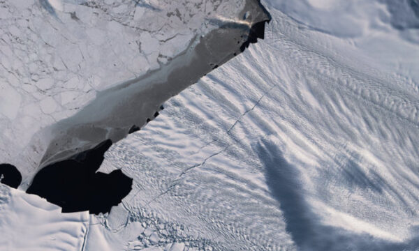 Antartide: con lo scioglimento aumenterebbe  di 58 centimetri il livello del mare