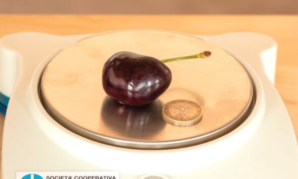 Guinness World Records: ciliegia ‘Sweet’ la più pesante al mondo,    selezionata dall’Università di Bologna